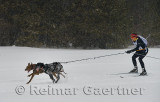 340 Skijoring 6.jpg