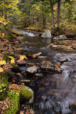 Boulders and Fall foliage at Sterling Brook near the Falls north of Stowe Vermont