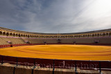 Golden groomed sand and empty stands at the Seville bullfighting ring