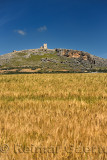 Ruins of Estrella Castle at Teba Malaga Spain with field of wheat