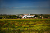 White Hacienda farmstead with fallow field poppies and wildflowers in Malaga Spain