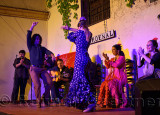 Couple of Flamenco dancers with women clapping on stage at night in an outdoor courtyard in Cordoba Spain