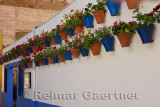 Potted geranium flowers along white stucco wall on the route of Patios of Alcazar Viejo Cordoba