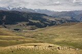 Remote Assy Turgen plateau with grazing horses and snow capped Tien Shan mountains Kazikhstan