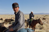 Kazakh cowboys on horseback herding cattle and sheep on plains Zhongar Alatau mountains Kazakhstan
