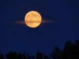 July 22, 2013Prince's moon