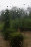 June 24, 2013Living Under a Cloud