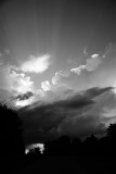 August 11, 2014What Dreams May Come