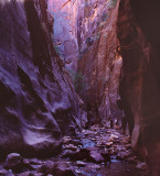 Orderville Canyon - Zion