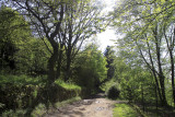 la petite Pierre