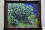 Vincent Van Gogh - Bush (1889) - 0802