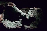 Malachite - Natural History Museum, London - 2799