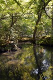 Nanzen-ji Temple, Tenjuan garden, Kyoto - 8997