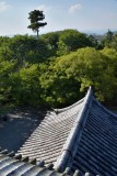 Nanzen-ji Temple, Kyoto - 9049