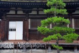 Sanju Sangen Do Temple, Kyoto - 9255