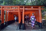 Fushimi Inari Shrine, Kyoto - 9338
