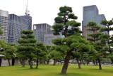 Marunouchi seen from Imperial Garden - Tokyo - 3215