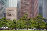 Marunouchi seen from Imperial Garden - Tokyo - 3226