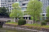 Imperial Garden - Tokyo - 3243