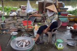 Dua Do (Red Coconut) Market, Nhi Long village, Tr Vinh - 6611