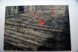 Anselm Kiefer - Quaternitt (Quaternit), 1973 - 7009