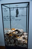 Anselm Kiefer - 7045