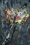 Anselm Kiefer - Bse Blumen (Les Fleurs du Mal), 2001-2015, dtail - 7117