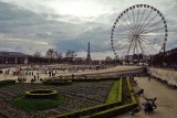 Tuileries - 8165