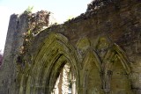 Inchmahome Priory, Lake of Menteith - 5311