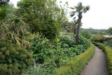 Inverewe Garden, Poolewe - 9881