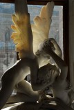 Canova - Psych ranime par le baiser de lamour (18e s.) - 3639