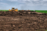 Backing Up The Excavators .jpg