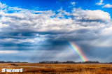 Springs First Rainbow