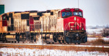 CN 2560