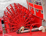 Steamboat  Paddlewheel