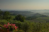 Tuscany Landscape in the Morning .Day 1 