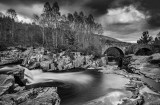 Black Water bridges