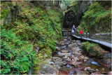 The Flume