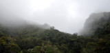 Cloud forest at Fort de Bbour.