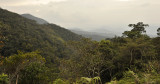 Kinabalu forest.3.jpg