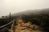 Kinabalu trail.4.jpg