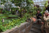 Mr. H. on a giant lily pad.