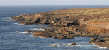 Teno coast.