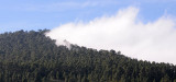 Guimar clouds