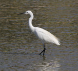 Park-Nahal-Hadera_26-10-2016 (32).JPG