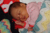 DSCF7312.jpg