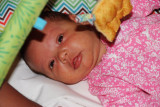 DSCF7338.jpg