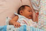 DSCF7342.jpg