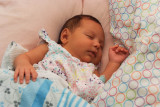 DSCF7343.jpg