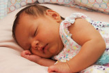 DSCF7345.jpg